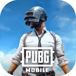 2025pubg正版官服